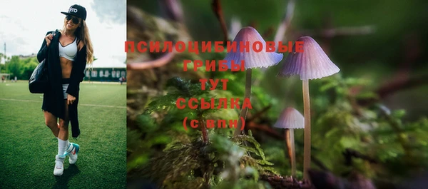 соль курить ск Бугульма
