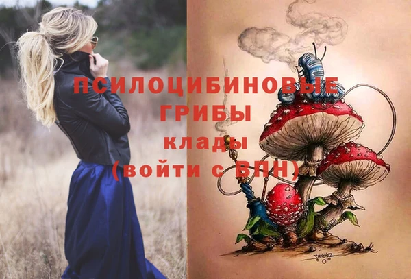 дживик Бронницы