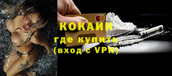PSILOCYBIN Калининец